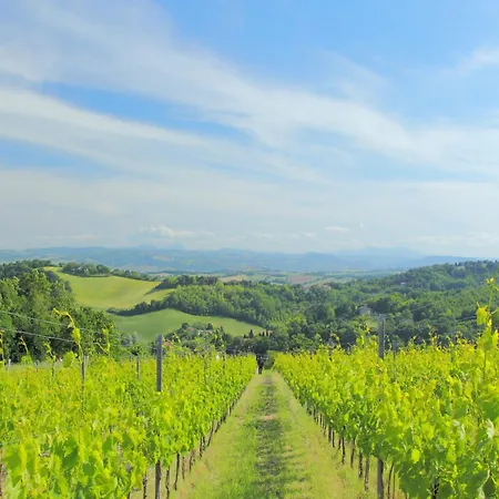 Dom wakacyjny In Marche Near Urbino And Pool